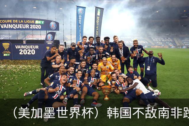（美加墨世界杯）韩国不敌南非跌至小组第三 出线前景待定